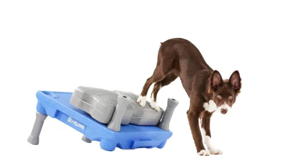 Blue-9 Air Propel Platform - Image 4