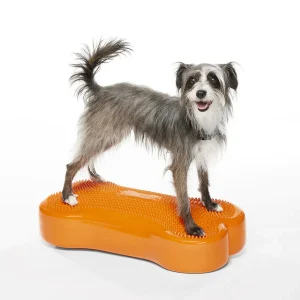 FITpaws k9 FITbone