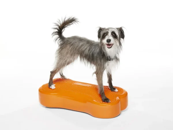 FITpaws k9 FITbone
