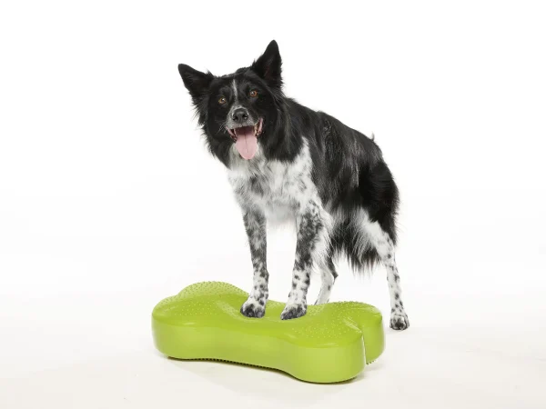 FITpaws k9 FITbone - Image 3