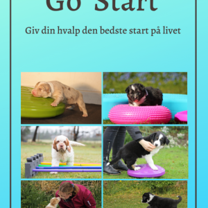 Go' Start