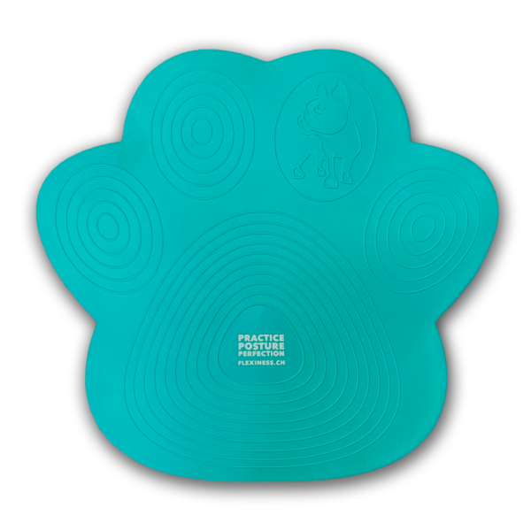 Flexiness Pawdisc - Image 3