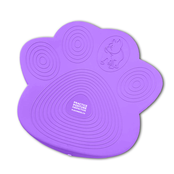 Flexiness Pawdisc - Image 2