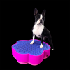 Flexiness Pawstep - Image 5