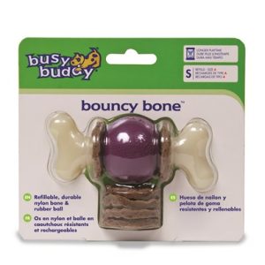 Busy buddy bouncy bone