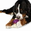 Busy buddy bouncy bone - Image 3