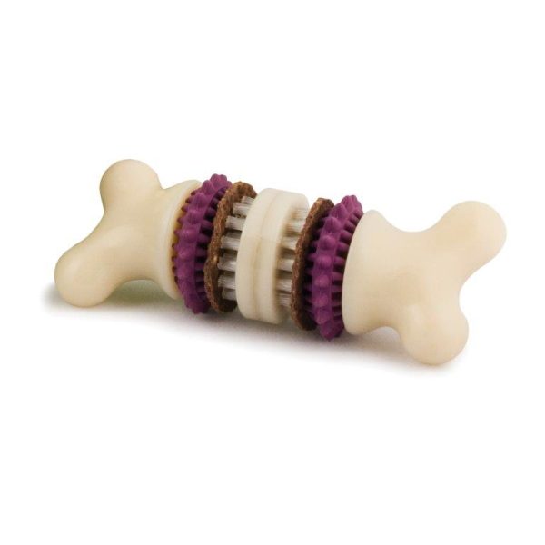 Busy buddy bristle bone