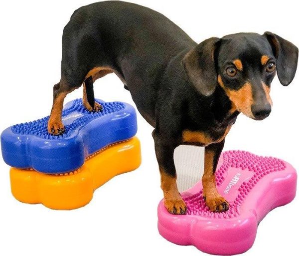FITpaws mini fitbones - Image 5