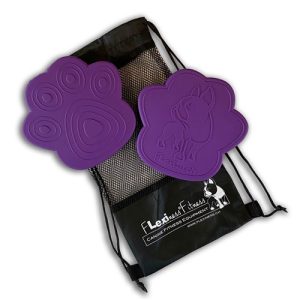 Flexiness toypaw stackers