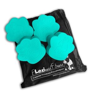 Flexiness ToyPawdiscs