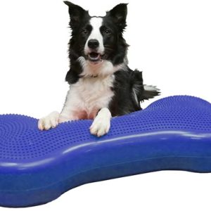 FITpaws Giant FITbone