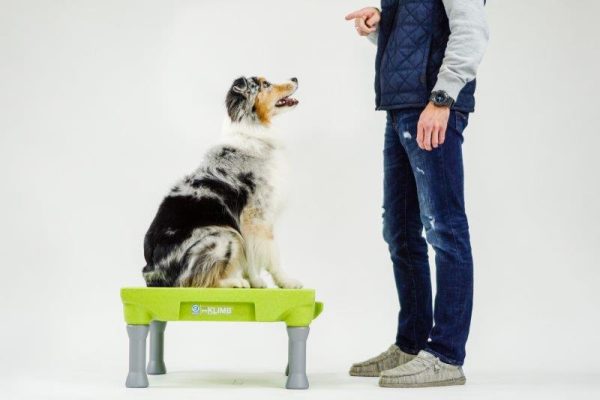K9 Klimb - Image 7