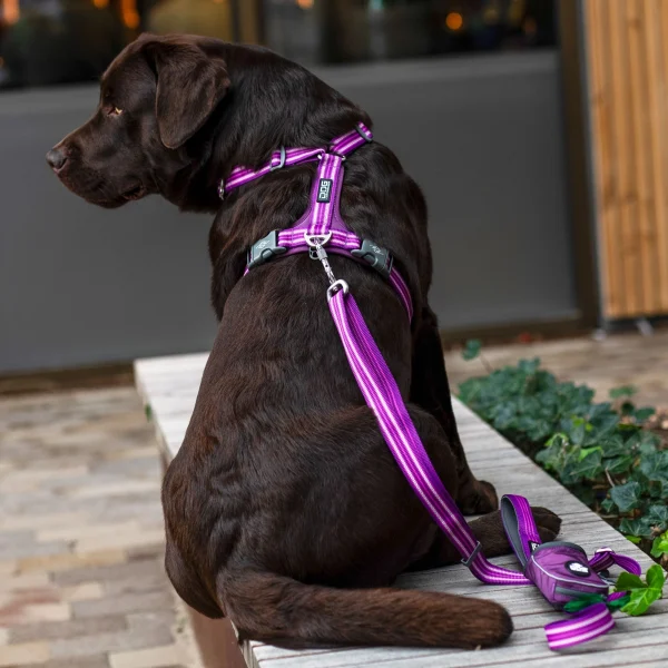 Dog Copenhagen Comfort Walk Air - Image 16