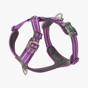 Dog Copenhagen Comfort Walk Air