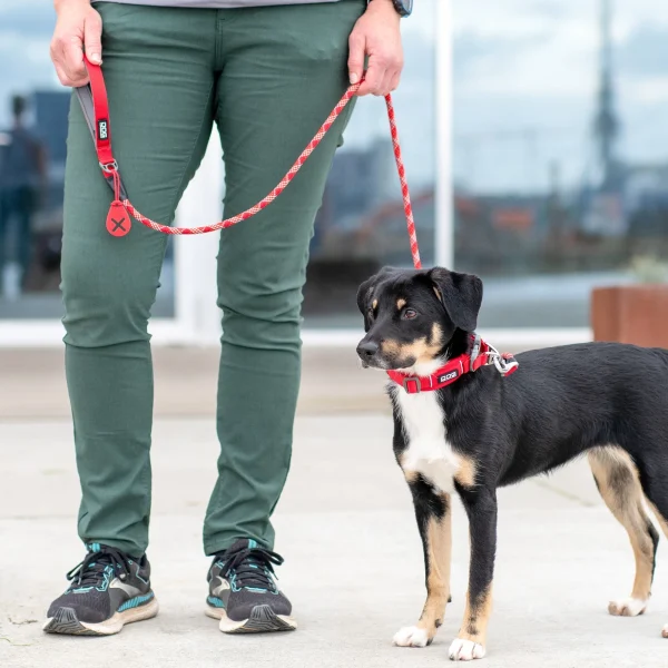 Urban Rope™ Line - Image 9