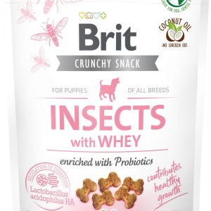 Care Dog Crunchy Cracker. Puppy. Insects