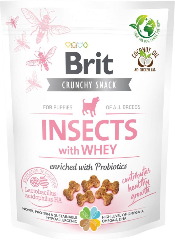 Care Dog Crunchy Cracker. Puppy. Insects